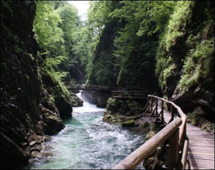 Gorenjska