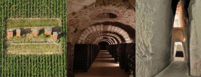 Las "Laderas, Casas y Bodegas de Champaña", Patrimonio de la Unesco