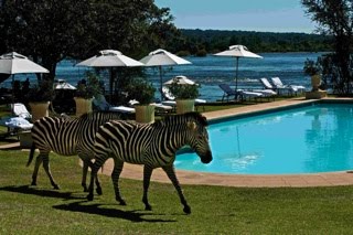 El Royal Livingstone Hotel le invita a viajar a Zambia con motivo de la espectacular ceremonia Kuomboka.