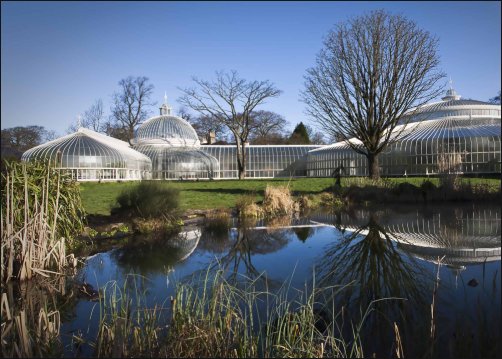 Los preciosos Jardines botánicos de Glasgow