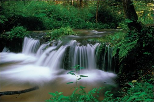 El espectacular Parque Nacional Roztoczanski