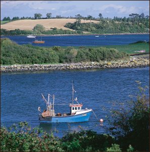 Strangford Lough, Reserva Natural Marina de Irlanda del Norte