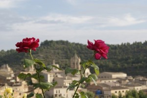 Entorno bello de Vallbona