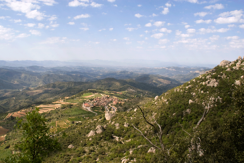 Espacios naturales en Costa Daurada