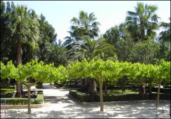 El Parque de L' Alquenència.