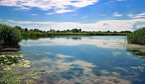 En mitad de la Gran Llanura, como una aparición entre las tierras secas del Alföld, surge el lago Tisza