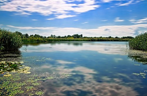 Alföld, la Gran Llanura húngara y el Lago Tisza