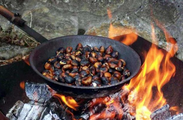 Antes de que llegue el frío intenso, se celebra en los países mediterráneos la cosecha de castañas