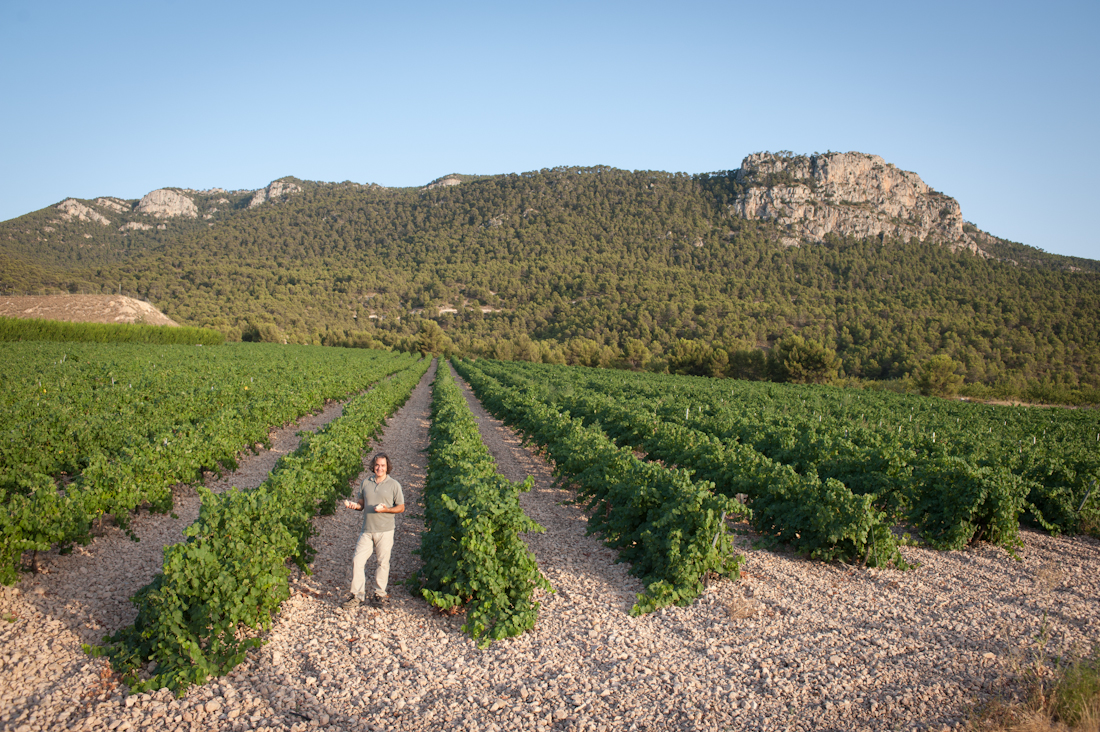 Vendimia en Bodegas Carchelo