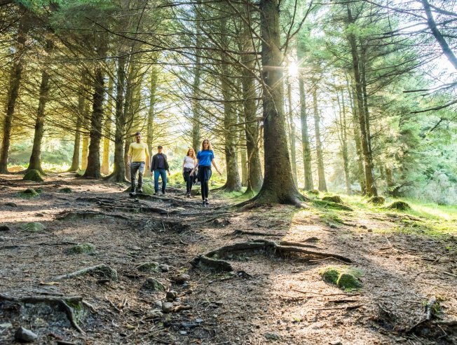 Conectar con la naturaleza en Irlanda