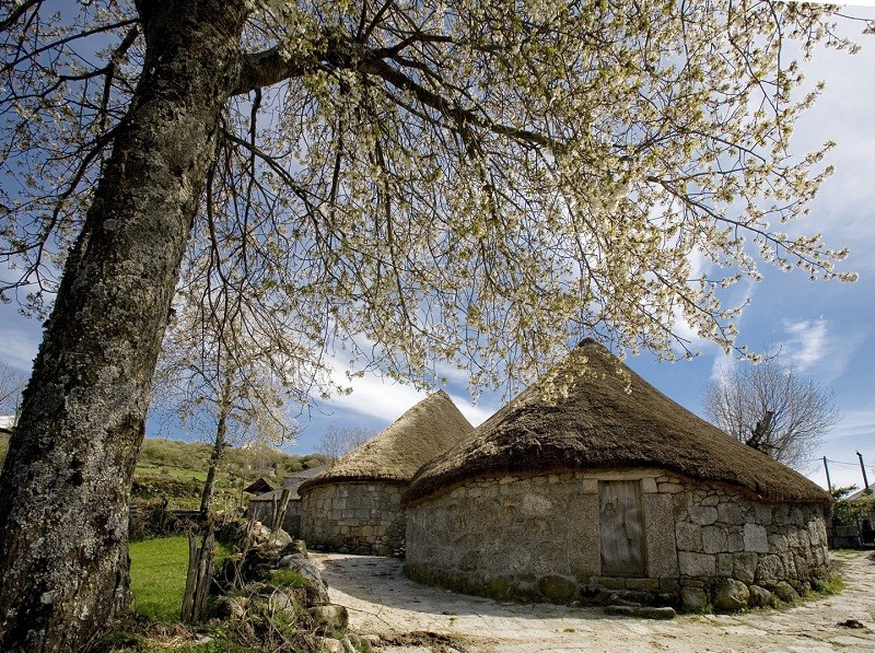 Os Ancares, el último bastión de osos de Galicia