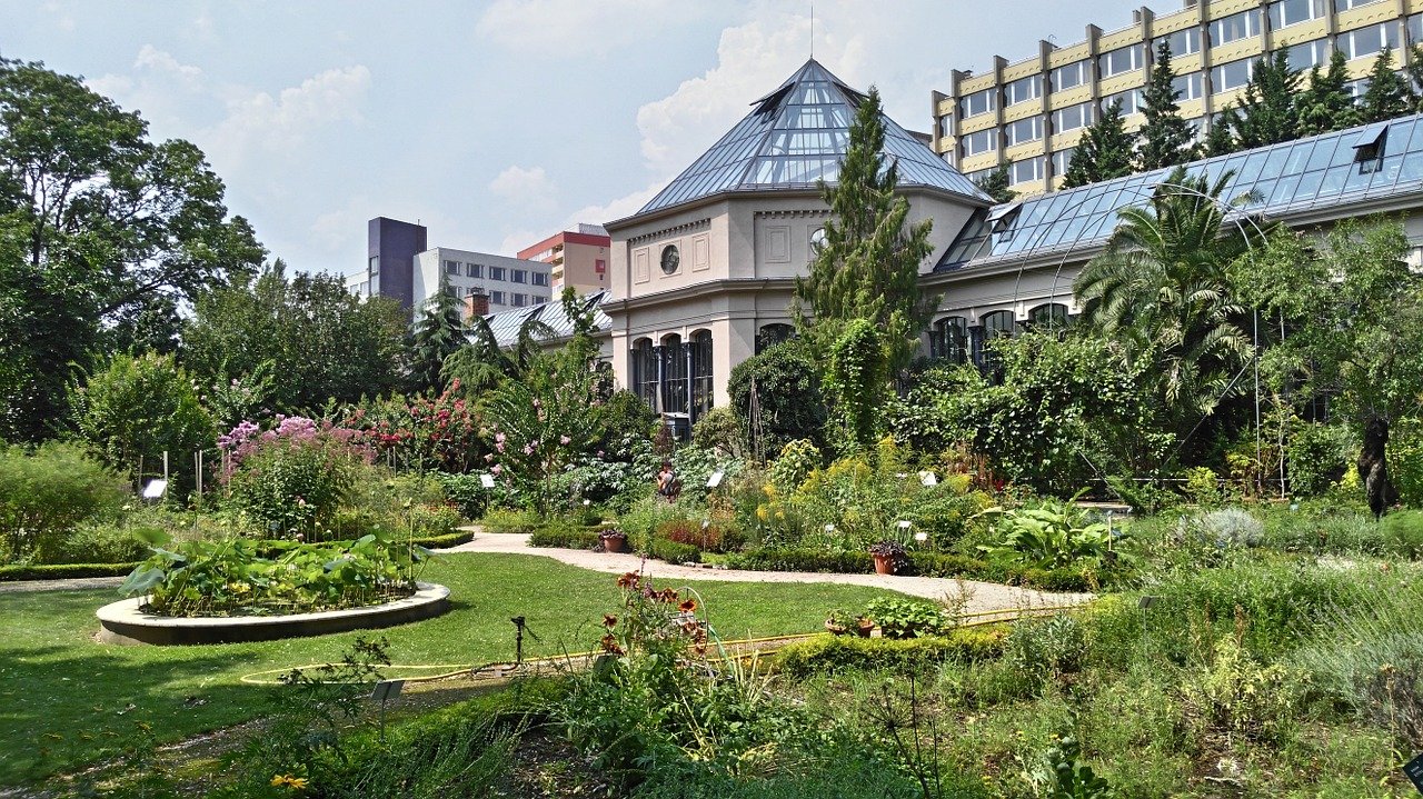 El Jardin des plantes / Cabinet (Notre-Dame / Quartier Latin) es especialmente interesante para los amantes de la botánic