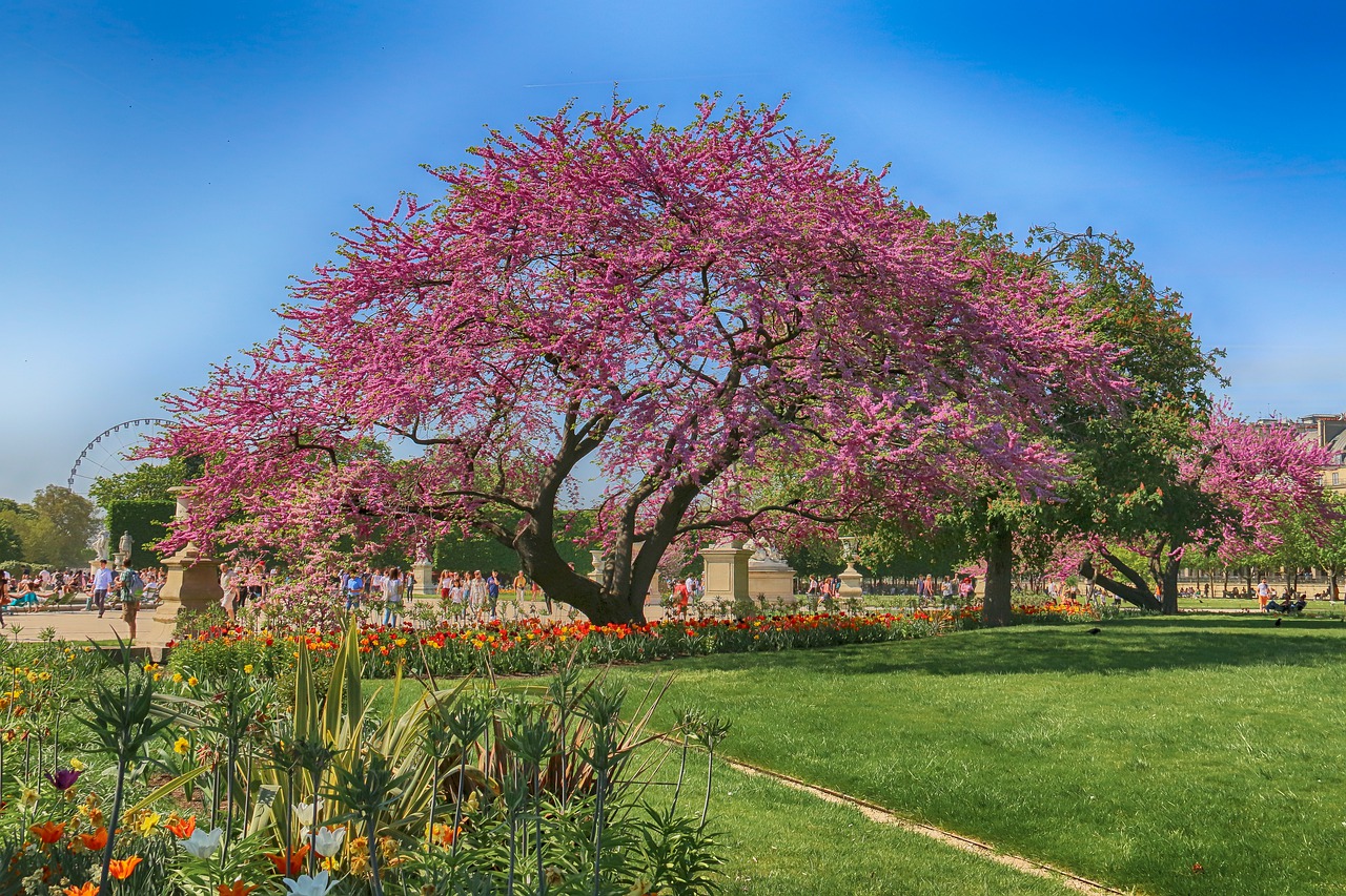 Los parques de París, lugares de belleza sin igual