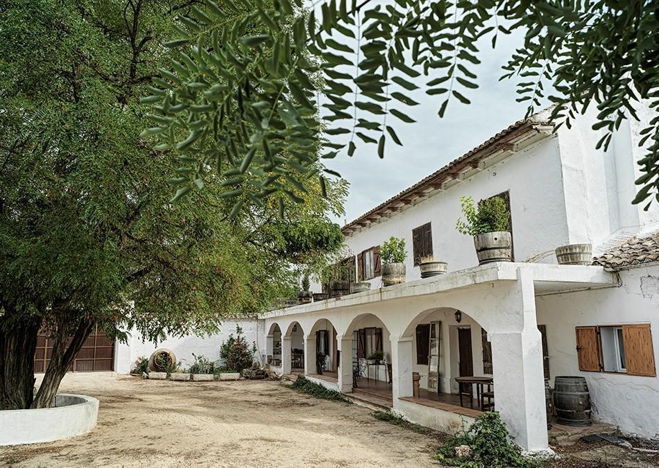 Finca Tinedo, enoturismo en una de las bodegas más antiguas de Castilla La Mancha