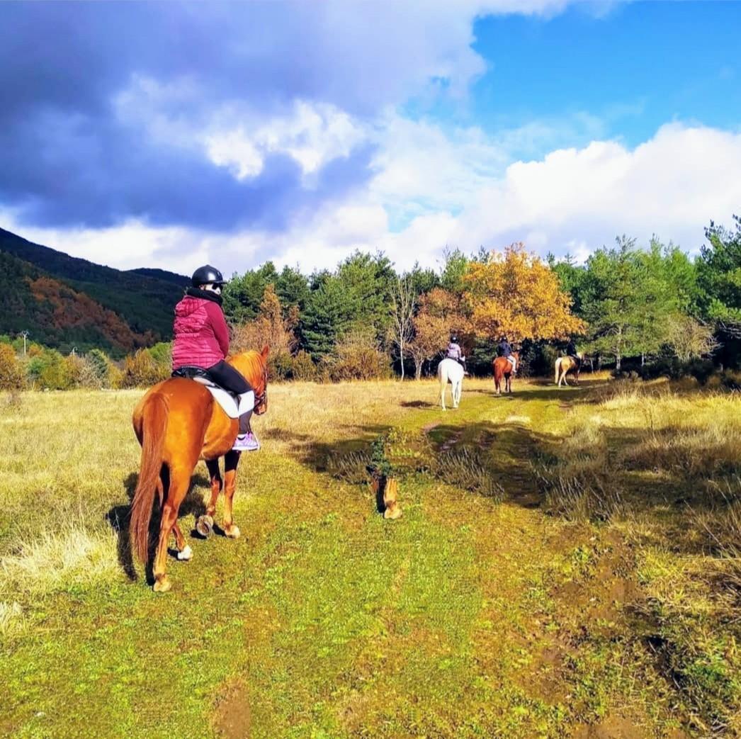 Otro modo de disfrutar de la naturaleza en el pirineo aragonés es adentrarse en ella a lomos de un caballo