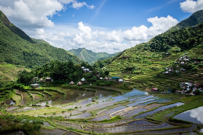 Terrazas de arroz Batad