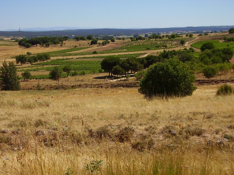 La Ribera del Duero como nunca la habías visto