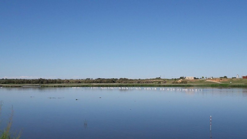 Laguna del Pueblo Pedro Muñoz
