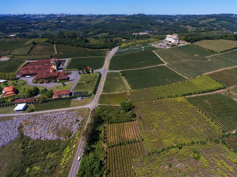 Enoturismo en Brasil: Serra Gaúcha y Vale do São Francisco