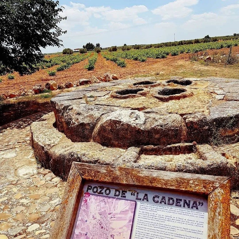 La Ruta del Vino de La Mancha, una aventura para toda la familia