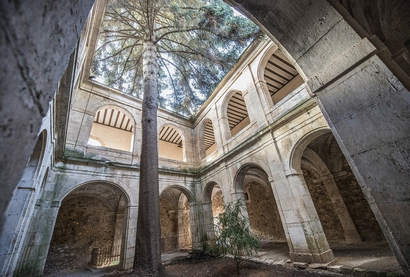 Monasterio de San Pedro de Arlanza