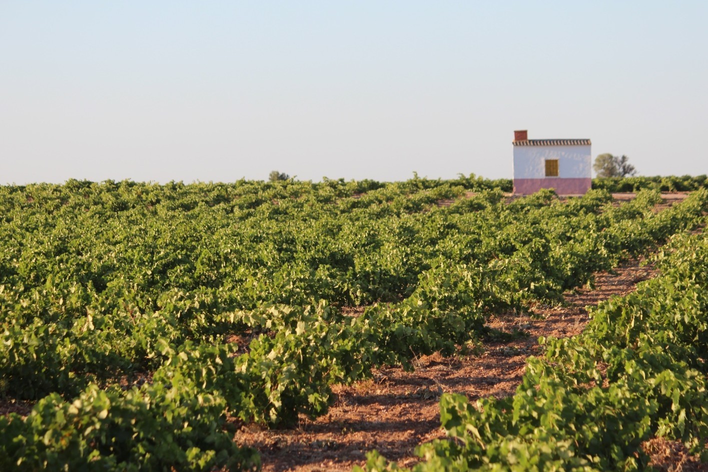 La primavera es tendencia en La Mancha para aquellos que buscan un destino a mano en el que bajar revoluciones