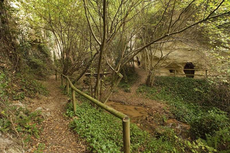 Las Cuevas de los Portugueses