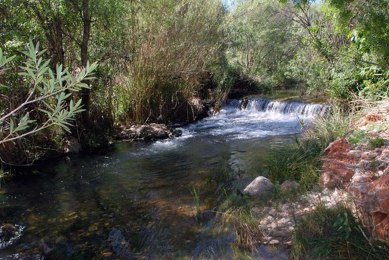 La Fuente de Benémola