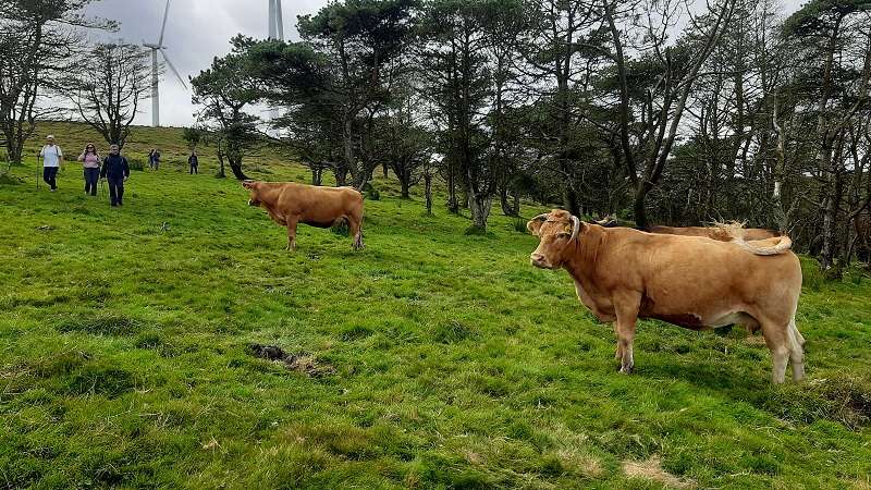 A Mariña impulsa experiencias agroturísticas únicas con un proyecto nacional innovador