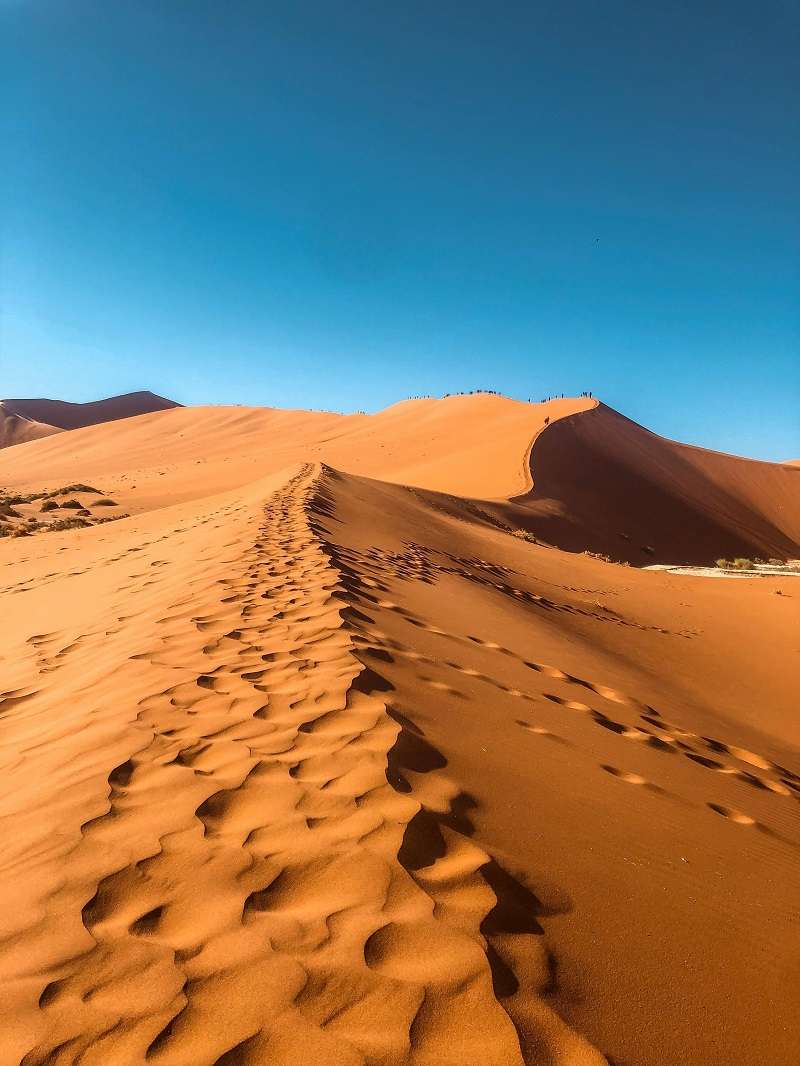 Desierto del Namib, considerado uno de los desiertos más antiguos del mundo