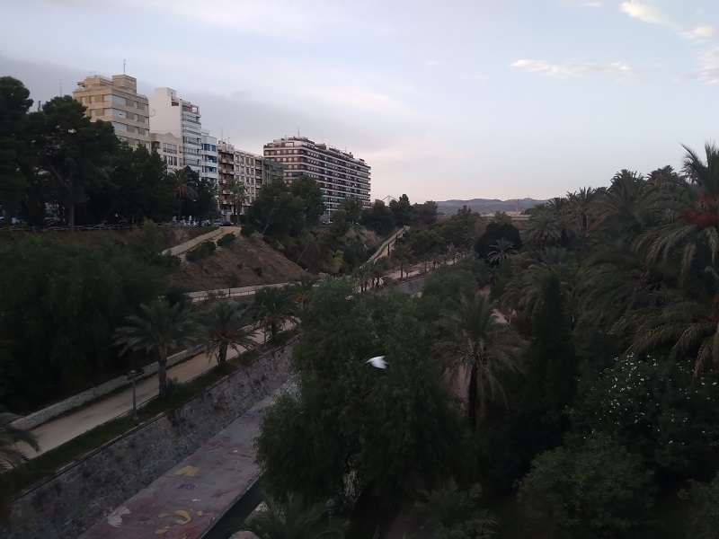 El Palmeral de Elche junto al río Vinalopó